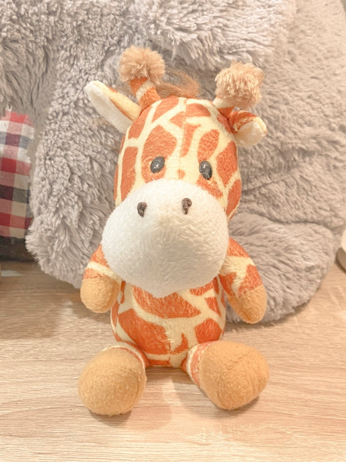 head, giraffe